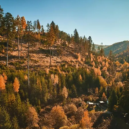Skandinavske Domceky-lesna Sauna A