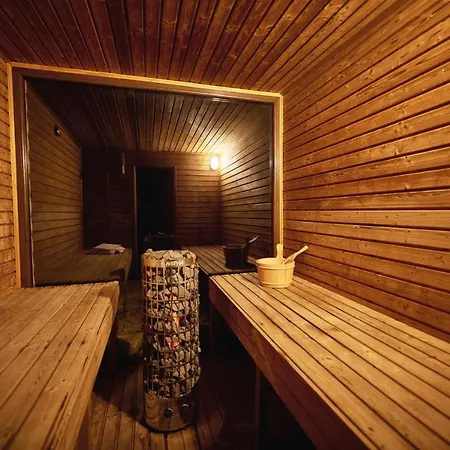Skandinavske Domceky-lesna Sauna A